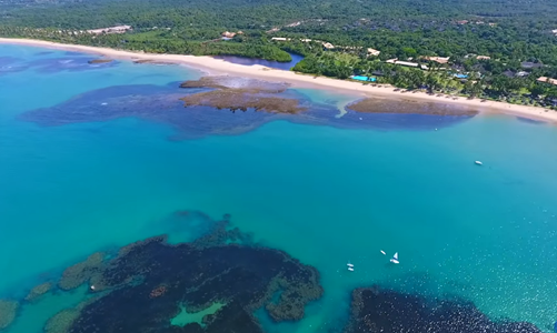 Transfer para Praia do Forte